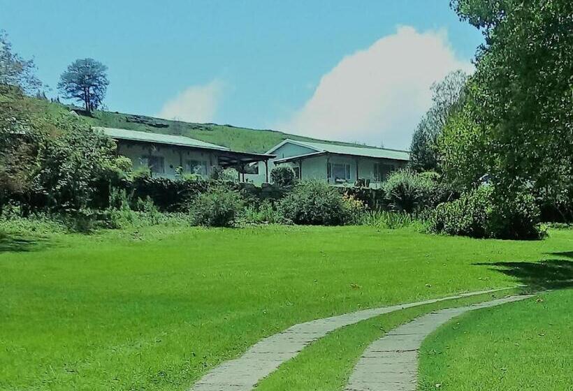 ベッドアンドブレックファースト Tumble In