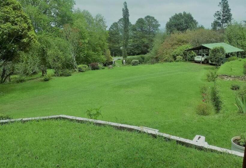 ベッドアンドブレックファースト Tumble In