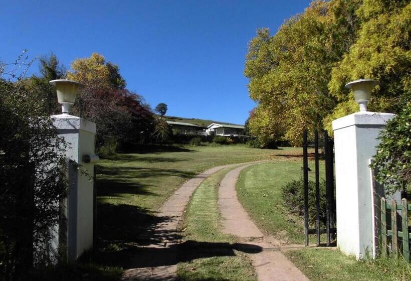 ベッドアンドブレックファースト Tumble In