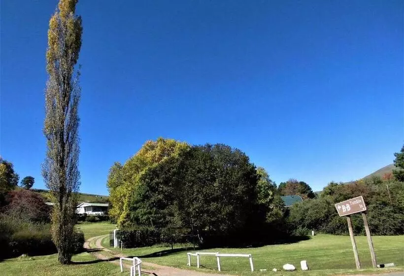 Aamiaismajoitus (B&B) Tumble In