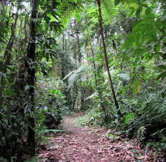 Hotelli Centro Manú