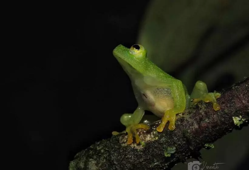 Hotelli Centro Manú