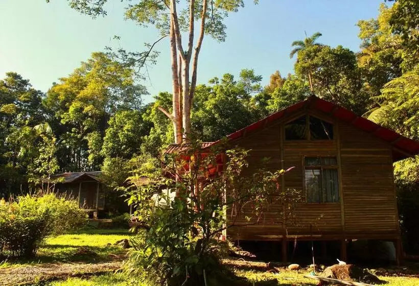 Hotelli Centro Manú