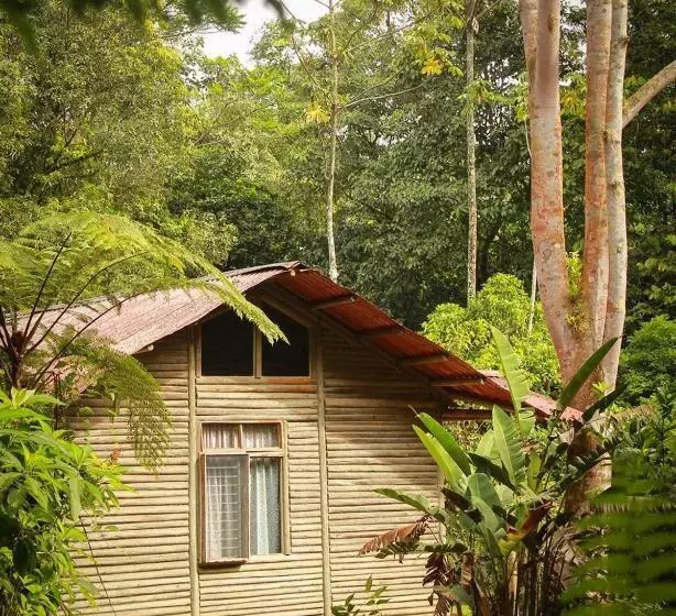 Hotelli Centro Manú