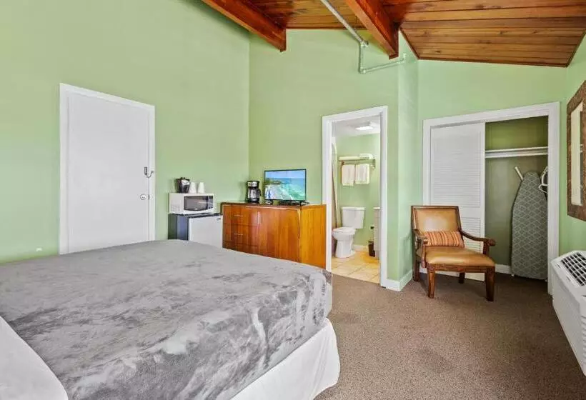 هتل Oceanfront Inn, Standard Room, King Bed, Town View, #10