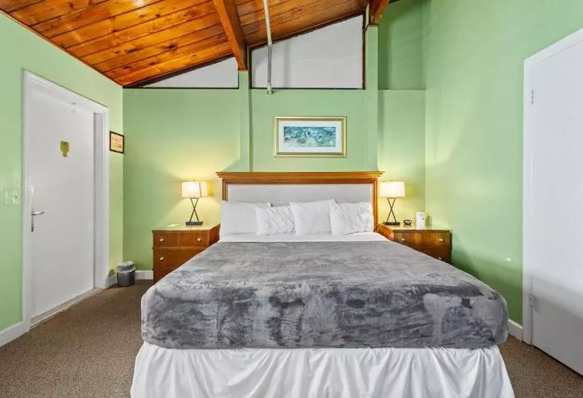 هتل Oceanfront Inn, Standard Room, King Bed, Town View, #10