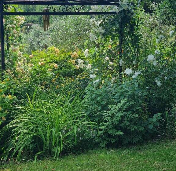 Bed and Breakfast Domus Salviae