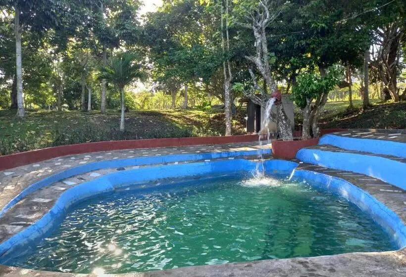 Aamiaismajoitus (B&B) Turtle Spring Private Resort