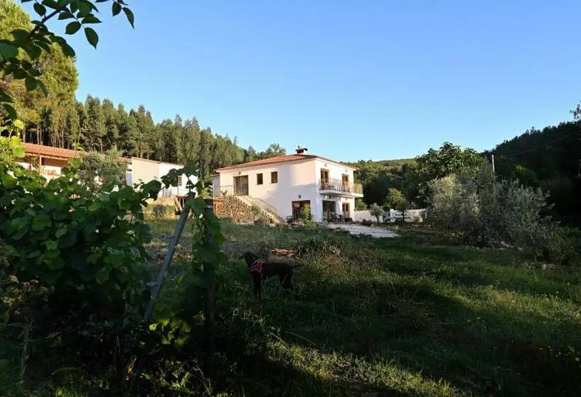 ホテル Quinta Da Aldeia Nova