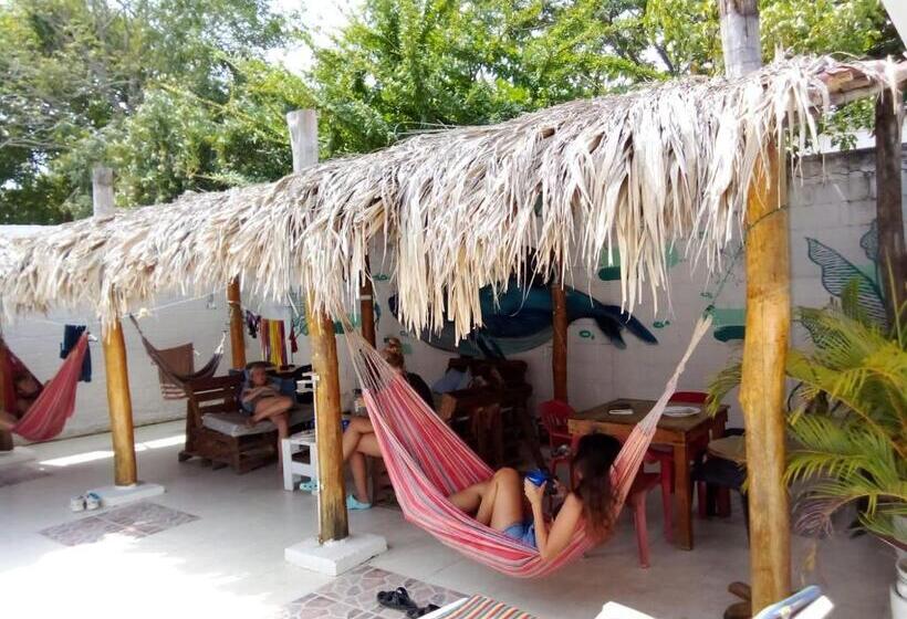 پانسیون Bamboo Rincon Del Mar