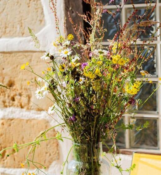 Пансион Domaine La Barbe