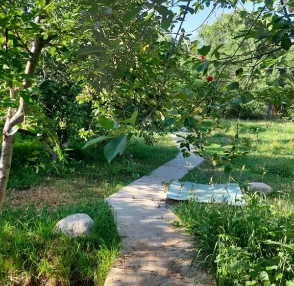 پانسیون Green Forest Guest House