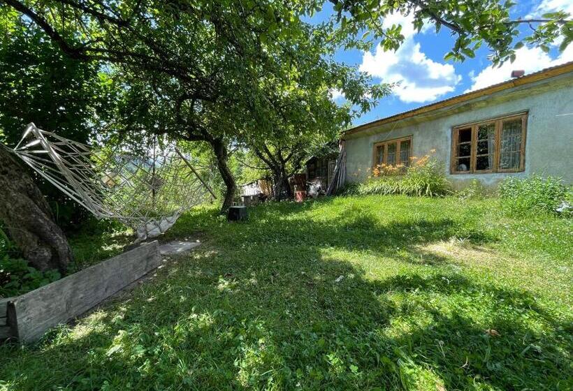 پانسیون Guesthouse Robi