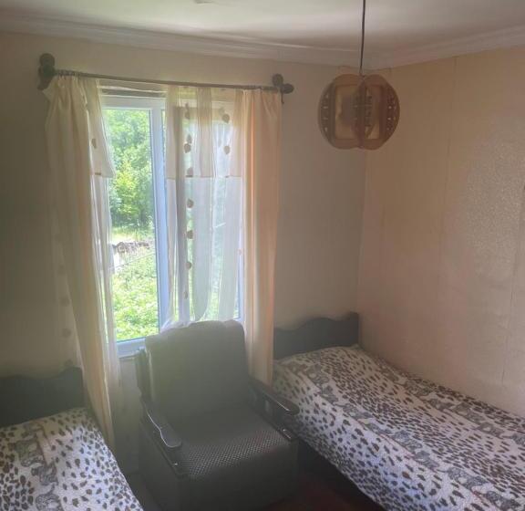 پانسیون Guesthouse Robi