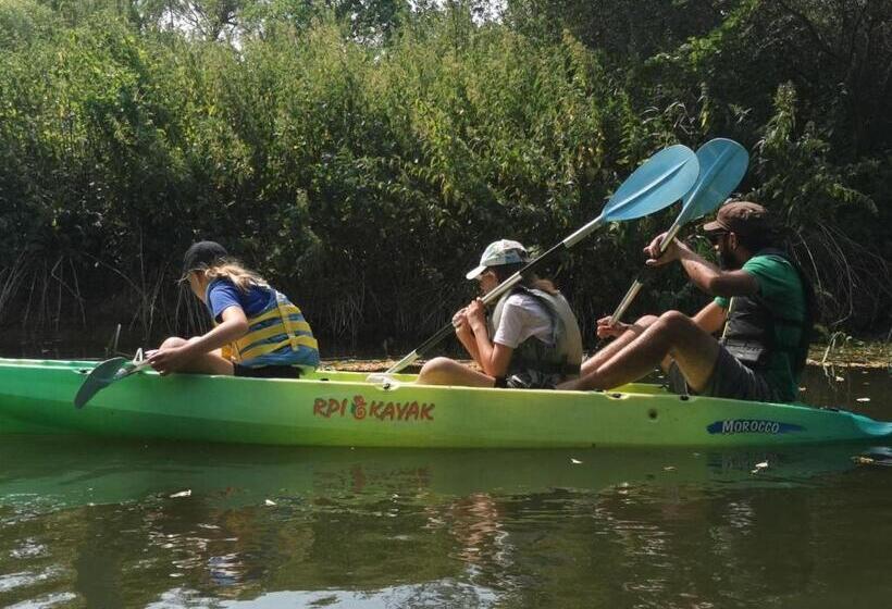 פנסיון Gîte Et Grange à Jeux Du Bonhomme Bouton
