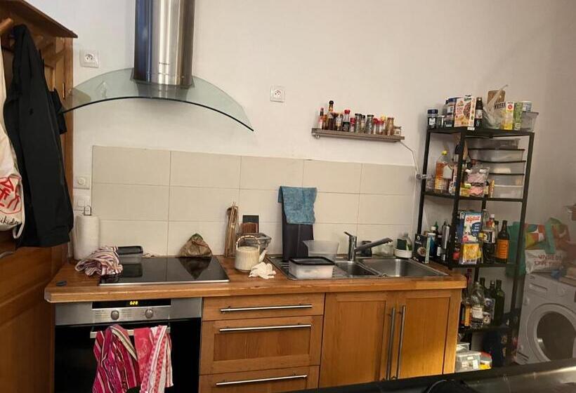 پانسیون Large Parisian Duplex