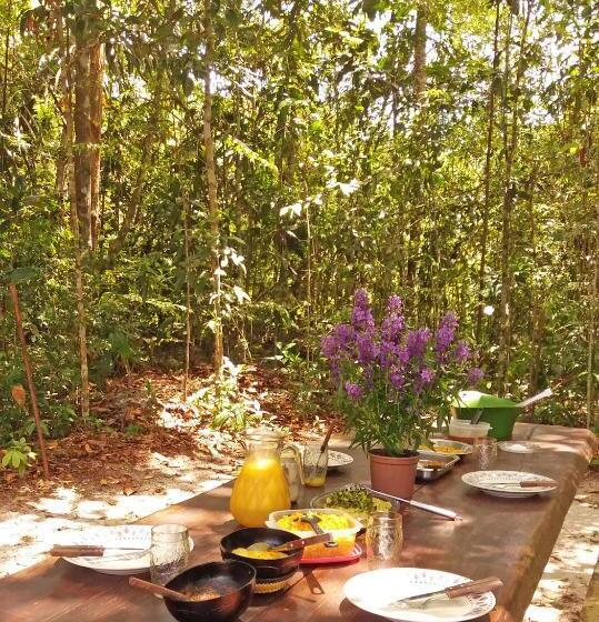 住宿加早餐 Floresta Zen Pousada