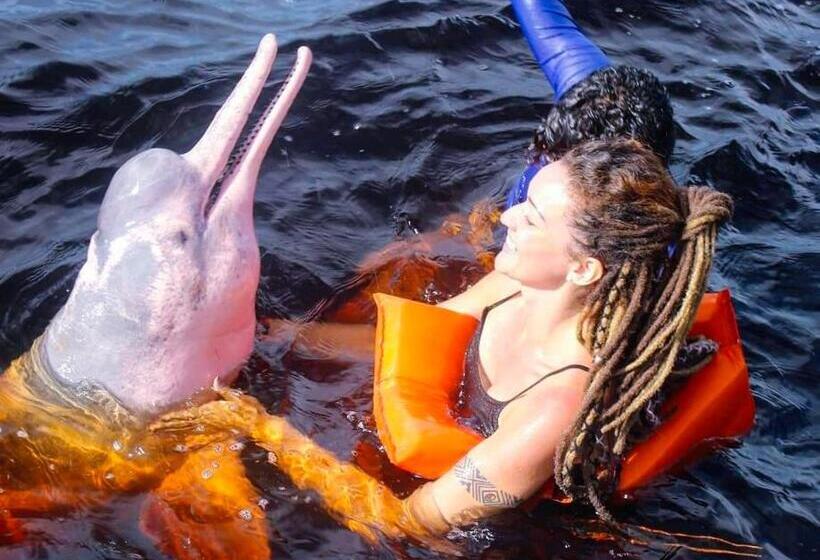 住宿加早餐 Floresta Zen Pousada