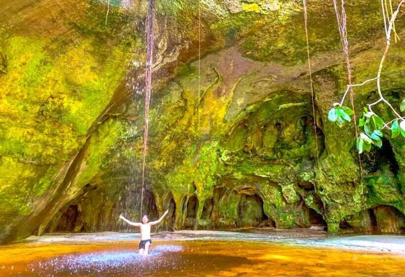 住宿加早餐 Floresta Zen Pousada