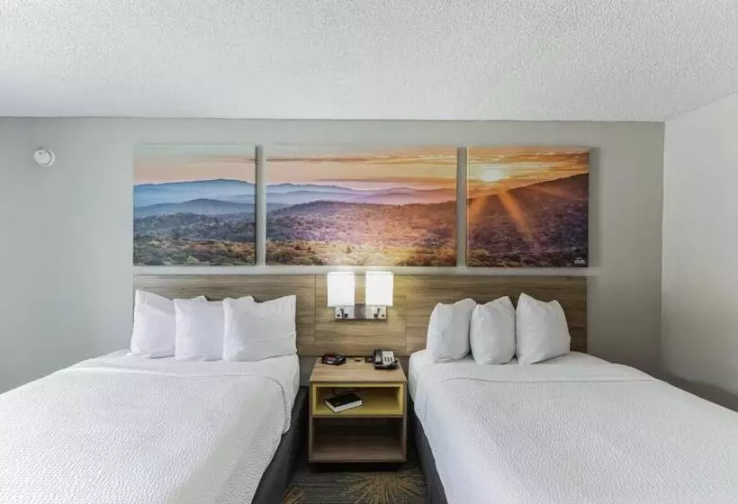ホテル Days Inn I81 Double Bed Room