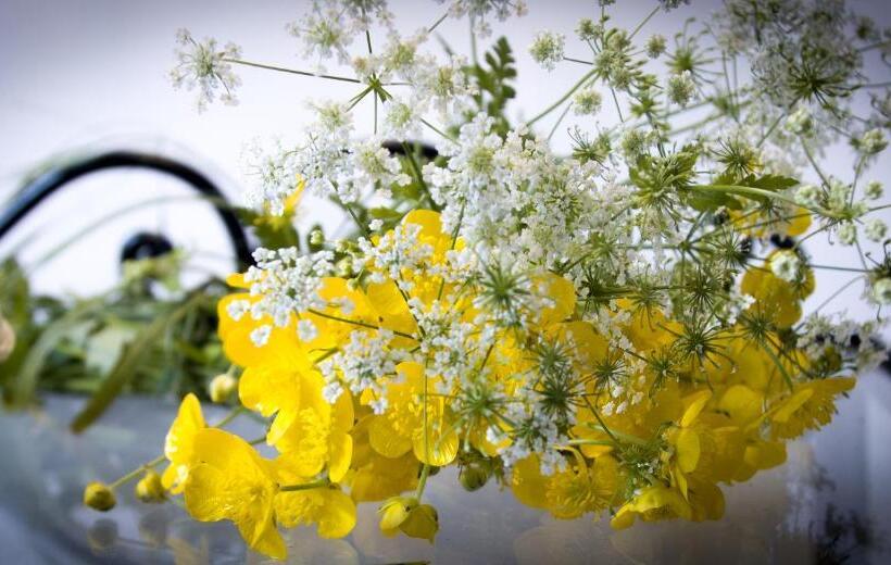 Bed and Breakfast Nel Bosco Di Giove   Albergo Diffuso