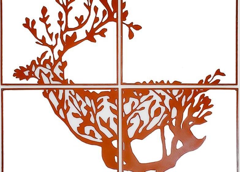 Bed and Breakfast Nel Bosco Di Giove   Albergo Diffuso