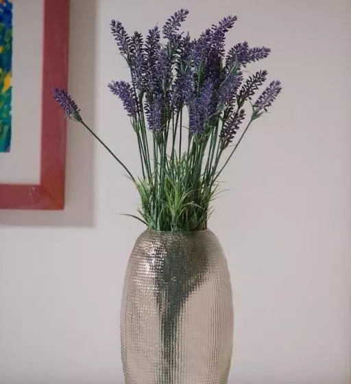 Aamiaismajoitus (B&B) Residenza Lucio Alfio