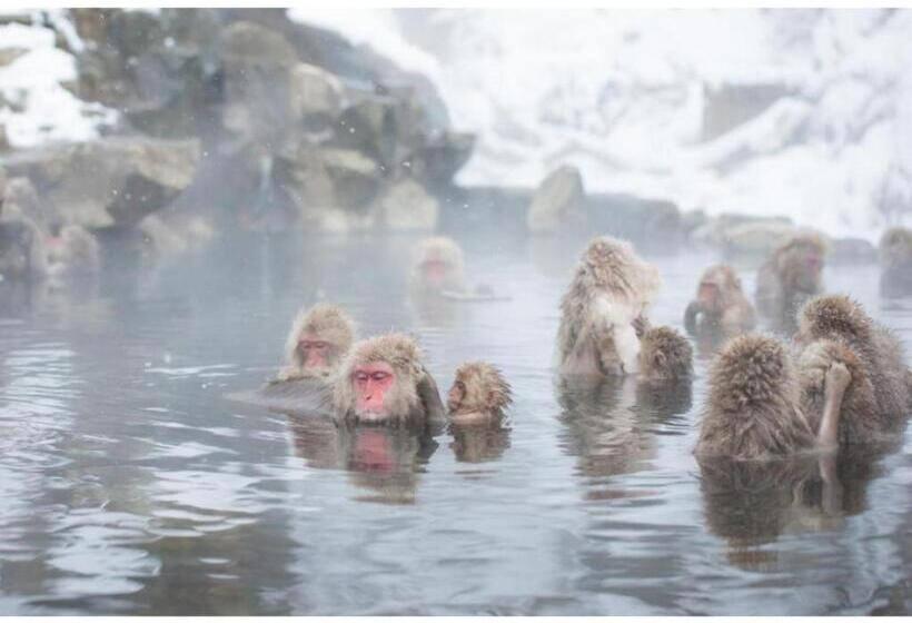 Hokuryuko Hotel North Nagano   Vacation Stay 14787v