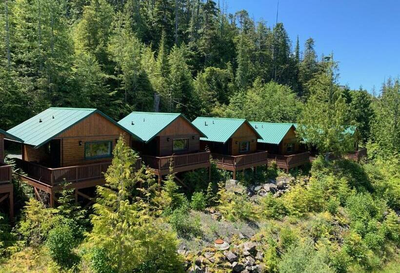 هتل Bear Cove Cottages