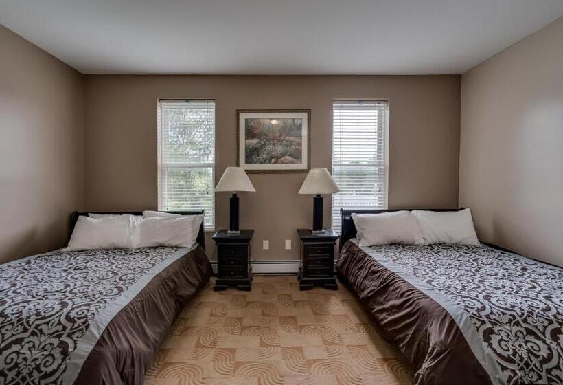 酒店 The Roxy Cape Vincent