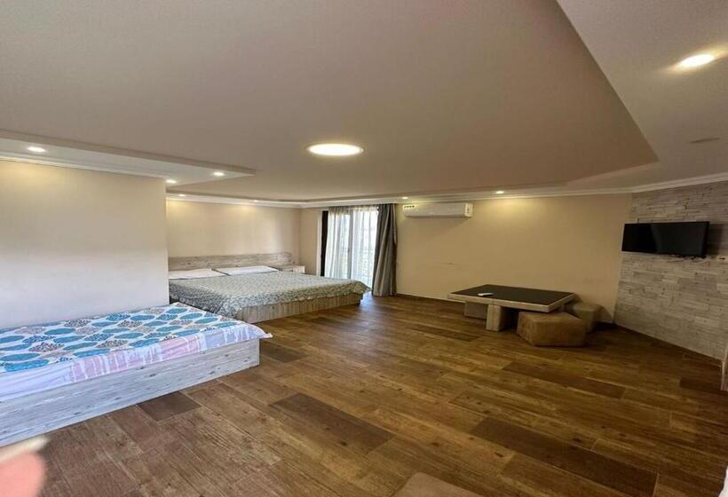 پانسیون House 211