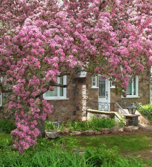 Пансион Rester Vivant Chambres D Hôtes