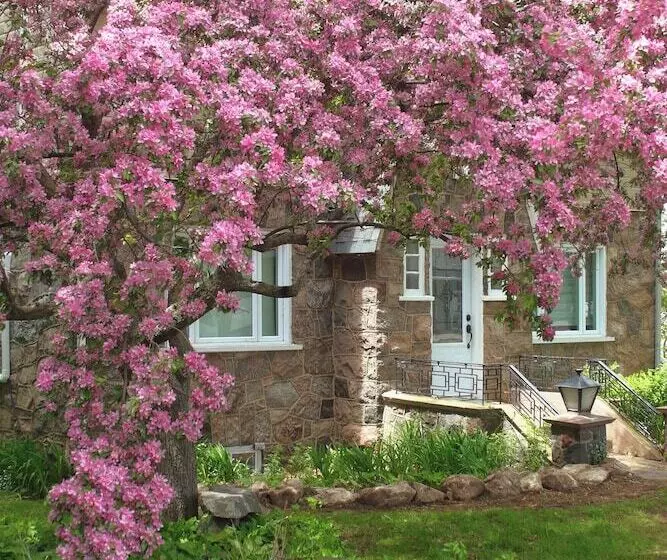 Majatalo Rester Vivant Chambres D Hôtes