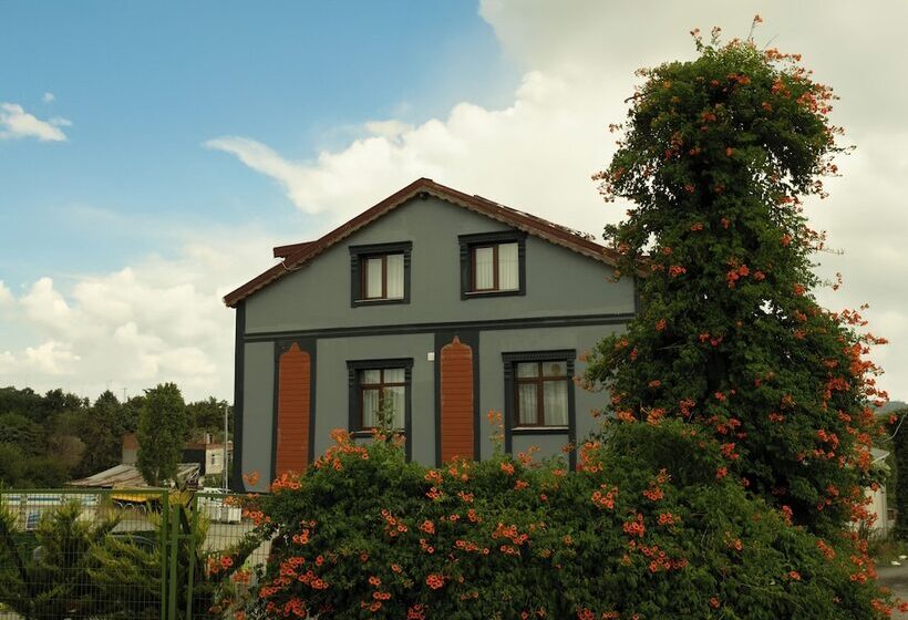 住宿加早餐 Zelle Airport Boutique