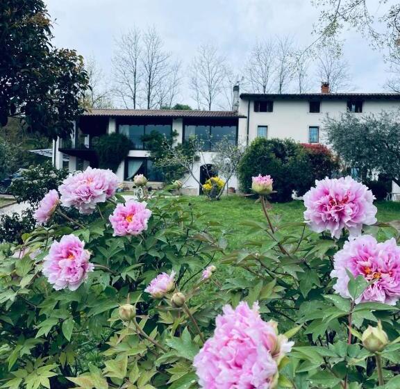 Bubamara   Bed And Breakfast