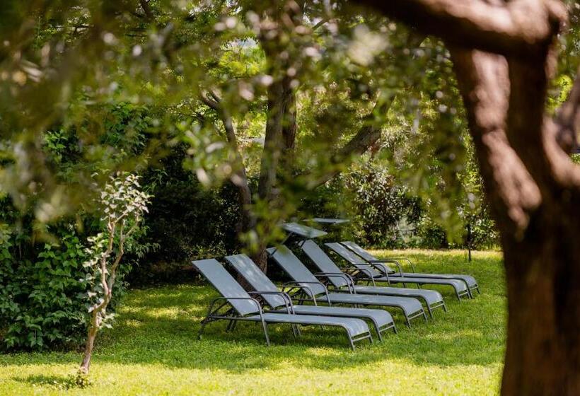 Bubamara   Bed And Breakfast