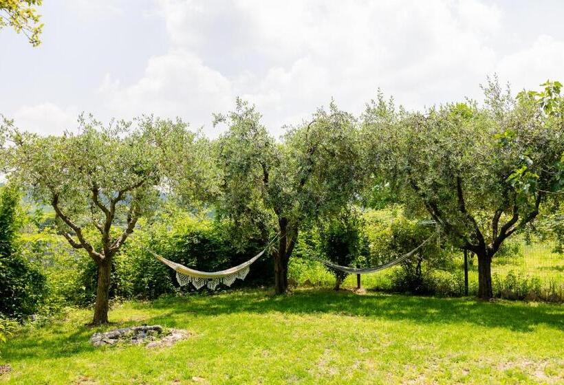 Bubamara   Bed And Breakfast