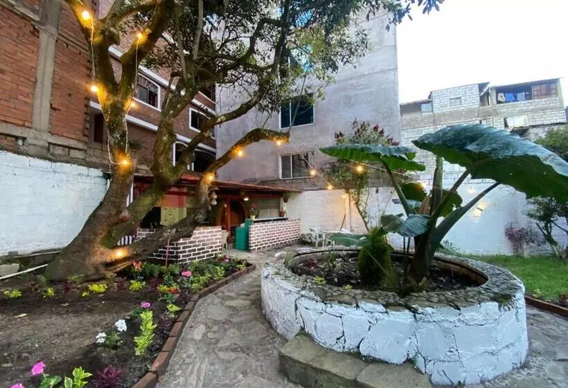 ホテル Garden House Hostal
