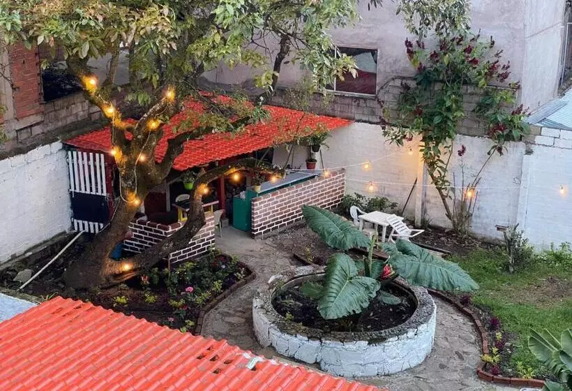 ホテル Garden House Hostal