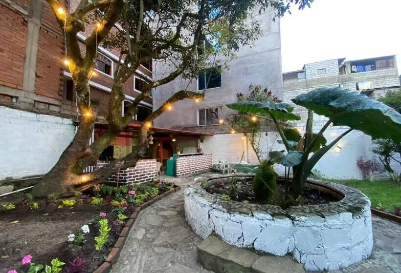 ホテル Garden House Hostal