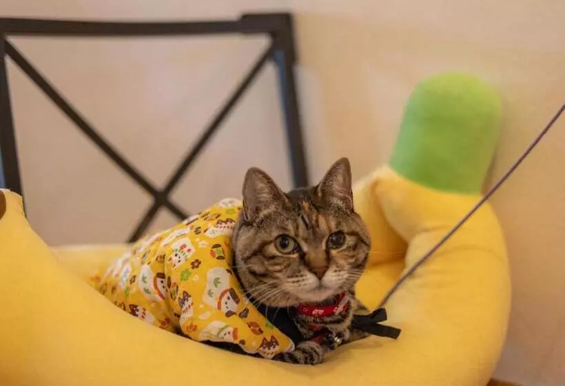 Hotelli ひだまりinn