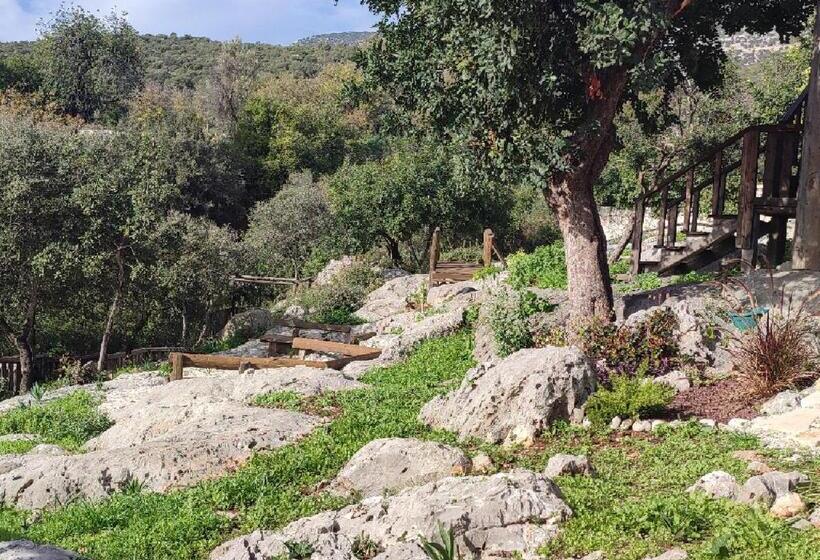 هتل Santa Stone House