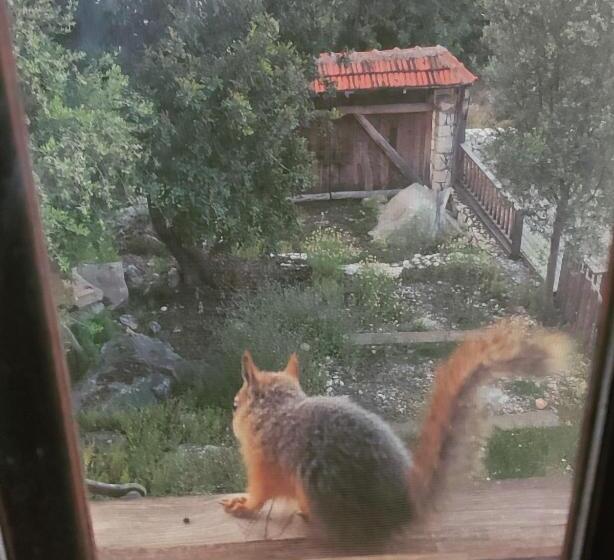 هتل Santa Stone House