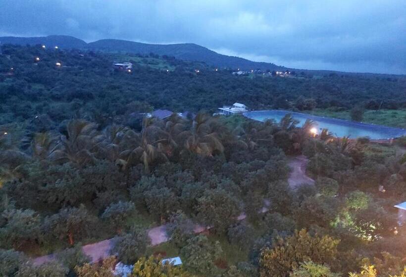 פנסיון The Four Winds House