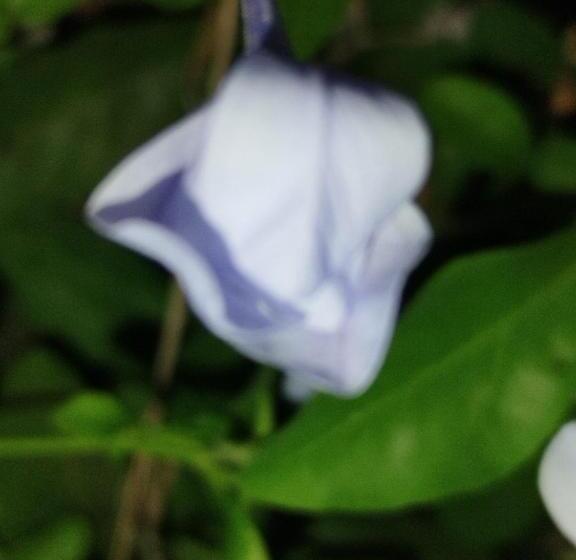 Quarto 0000 Está Indisponível Não Paguei Nada