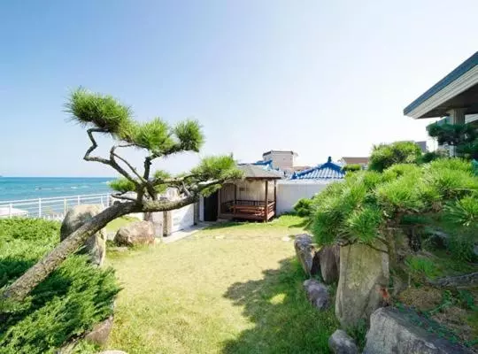 Ulsan Healing Dokchae Pension