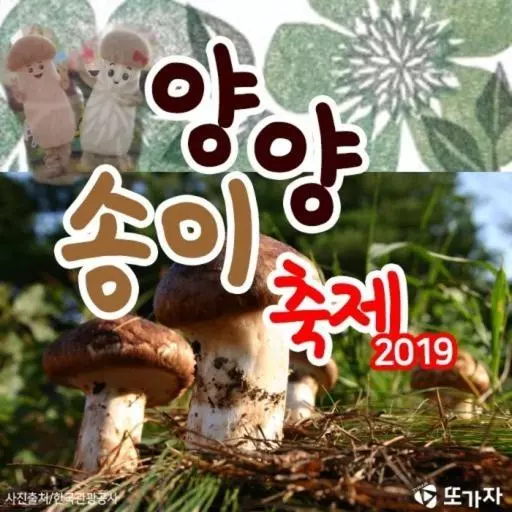 Yang Yang Naksan Euisangdae Pension