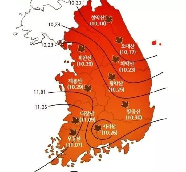 Yang Yang Naksan Euisangdae Pension