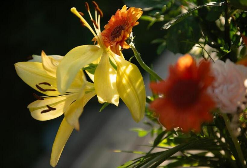 Bed and Breakfast La Jolie Longère Fleurie Roulotte Avec Piscine Et Grand Jardin