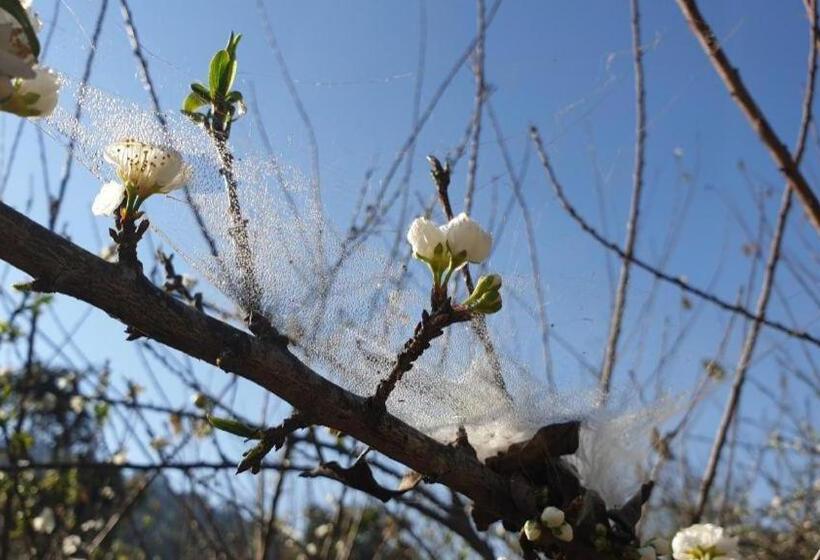 Hotel Baan Hom Muen Li